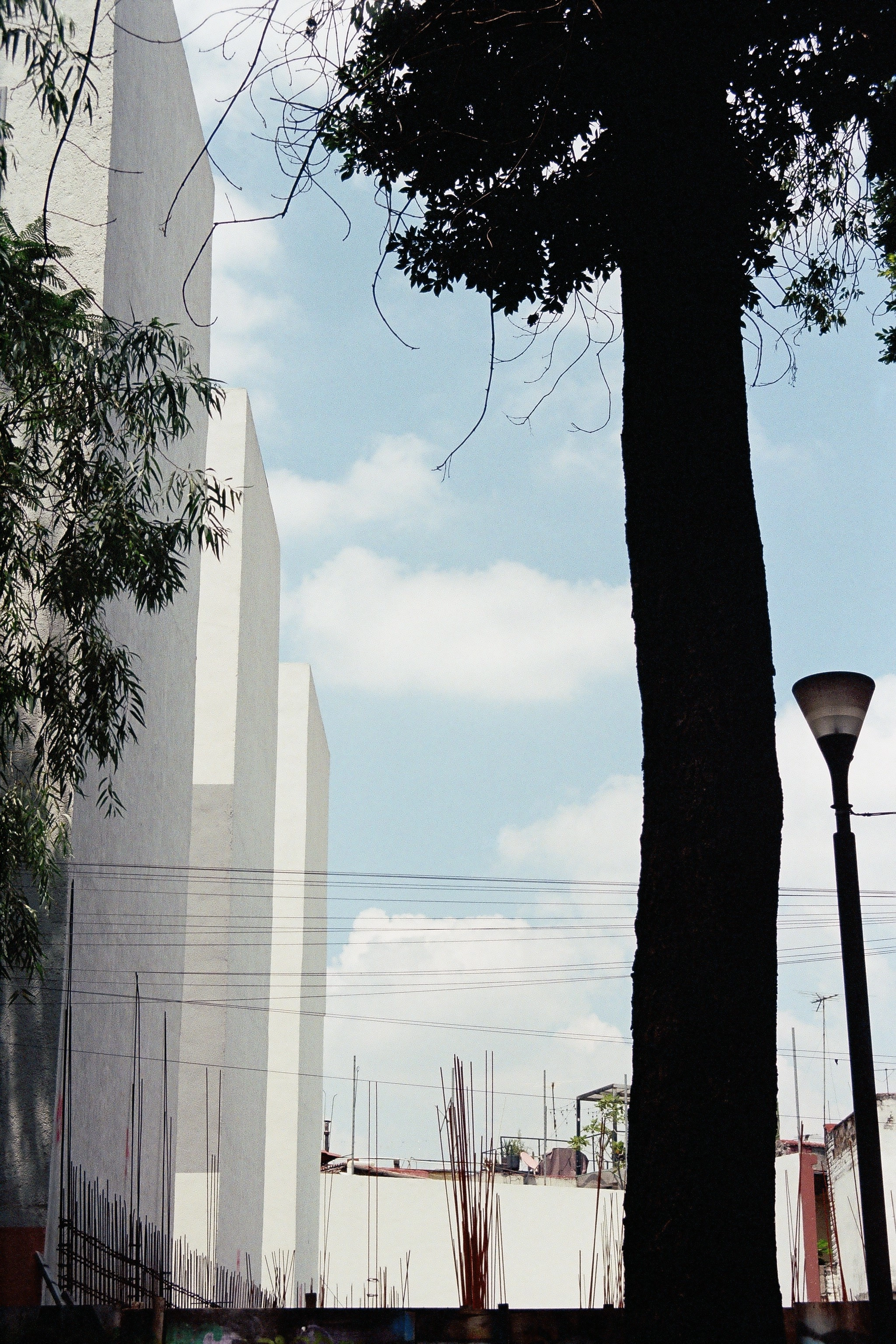 CDMX (2025)